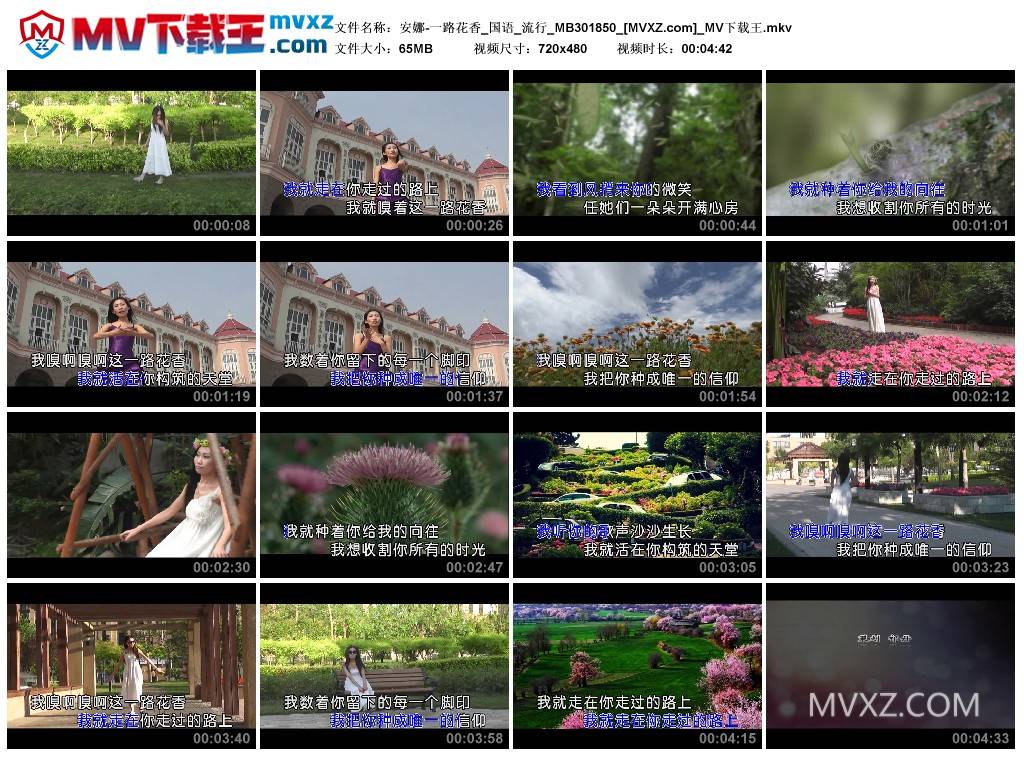 安娜-一路花香_国语_流行_MB301850